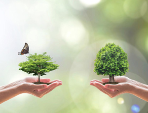 7月和1-7月全國地表水、環境空氣質量狀況