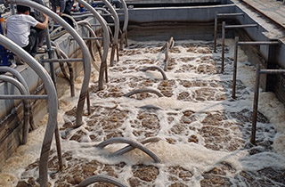 國際一線MBR（膜生物反應器）品牌膜是用于水處理領域的高性能膜產品有哪些？