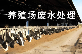 養殖場除異味污水處理