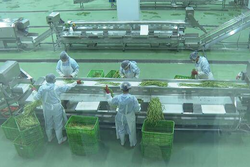 恒大興業一體化污水處理設備在預制菜的應用與成效